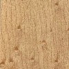 Birds Eye Maple